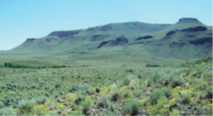 Greater Sheldon Hart Mountain Refuge