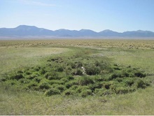 photo of green, vegetation-covered Great Basin landscape