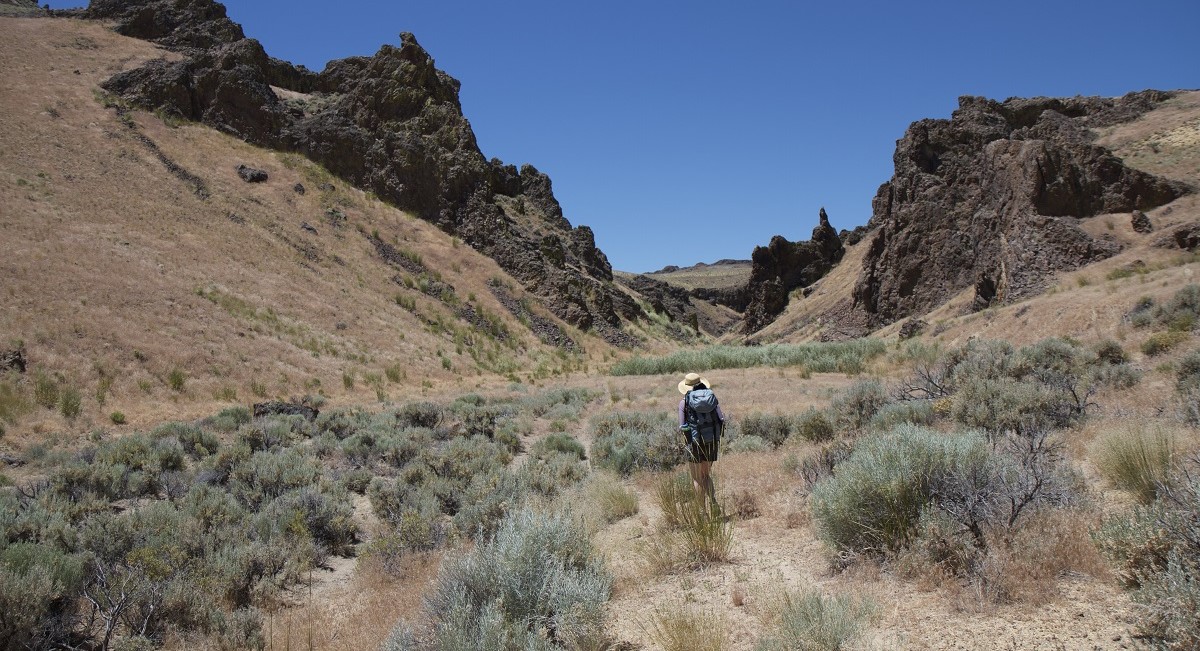 Photo of a hiker in a canyon