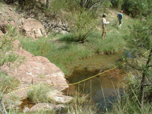 Photo of researchers measuring a small spring